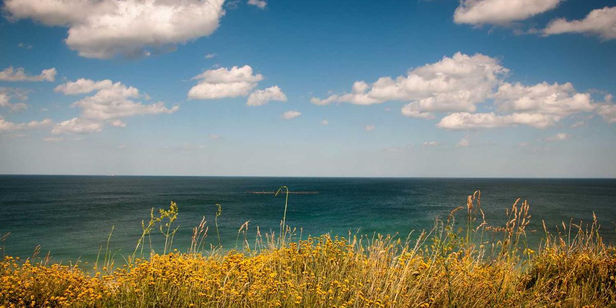 海南自贸港规划图